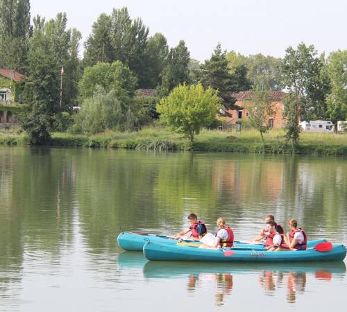 Rendez-vous du Samedi - L’île Beaucaire et la végétation des bords du Tarn