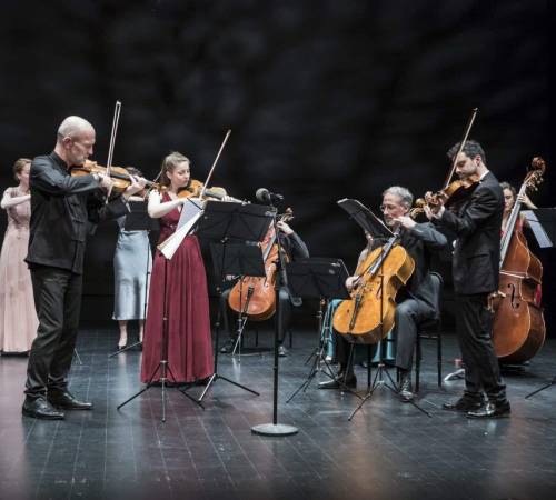 Orchestre de Chambre de Toulouse