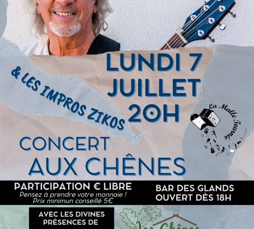 Concert de Berkeley Wright et les impros zikos