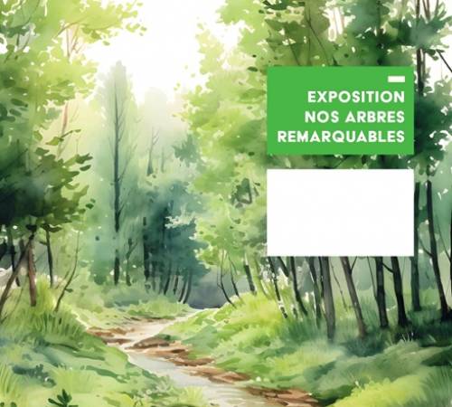Nos arbres remarquables