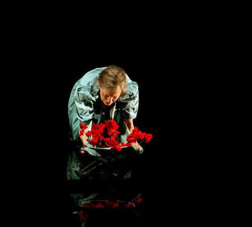 La Dignité des gouttelettes