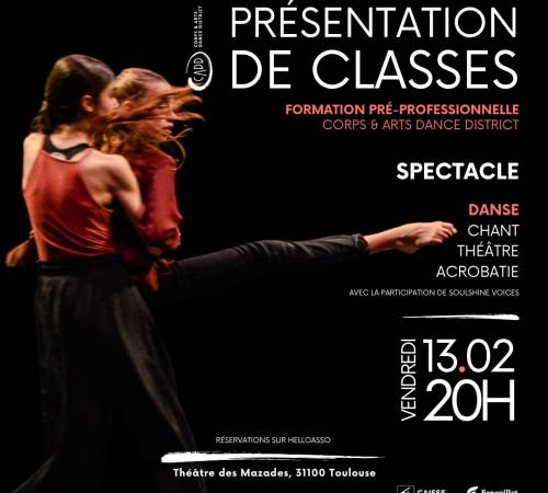 Spectacle pluridisciplinaire : Danse, Chant, Théâtre...