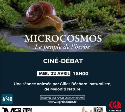 Ciné-débat - MICROCOSMOS : LE PEUPLE DE L'HERBE