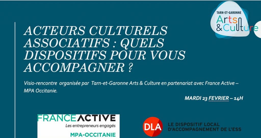 visio conf aide acteurs culturels